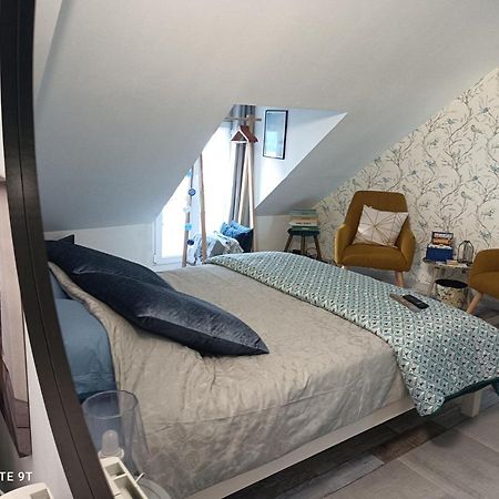 Tres Beau Studio Climatisation, Trois Etoiles, Parking A Velo, Velos En Option, Parking Prive Jardin Montargis Bagian luar foto