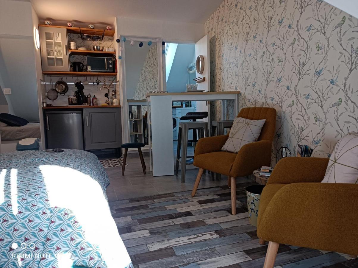 Tres Beau Studio Climatisation, Trois Etoiles, Parking A Velo, Velos En Option, Parking Prive Jardin Montargis Bagian luar foto