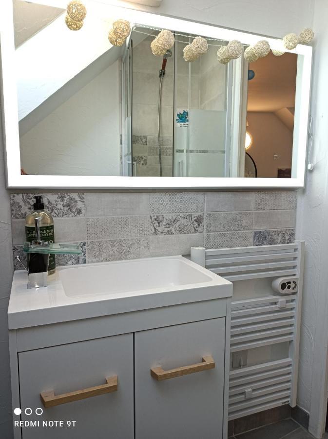 Tres Beau Studio Climatisation, Trois Etoiles, Parking A Velo, Velos En Option, Parking Prive Jardin Montargis Bagian luar foto