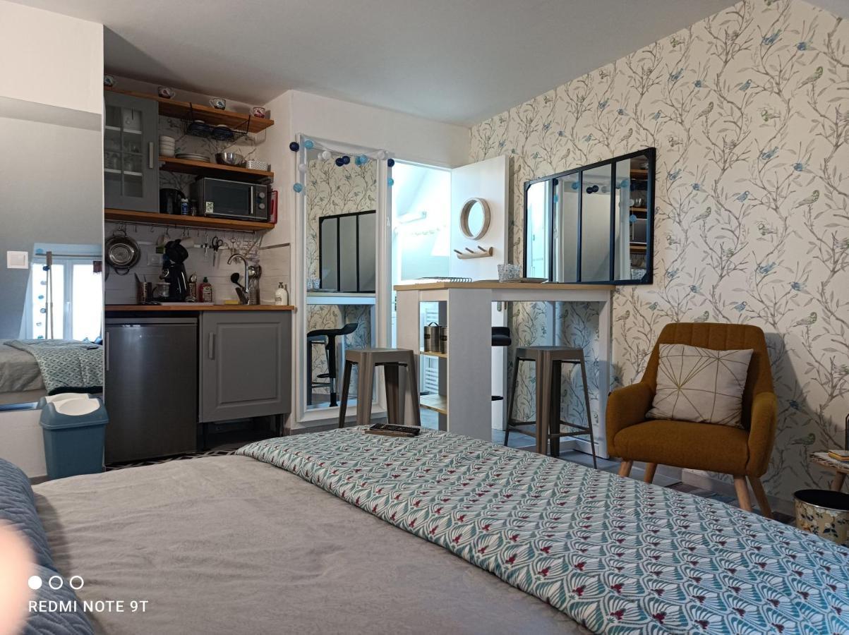 Tres Beau Studio Climatisation, Trois Etoiles, Parking A Velo, Velos En Option, Parking Prive Jardin Montargis Bagian luar foto