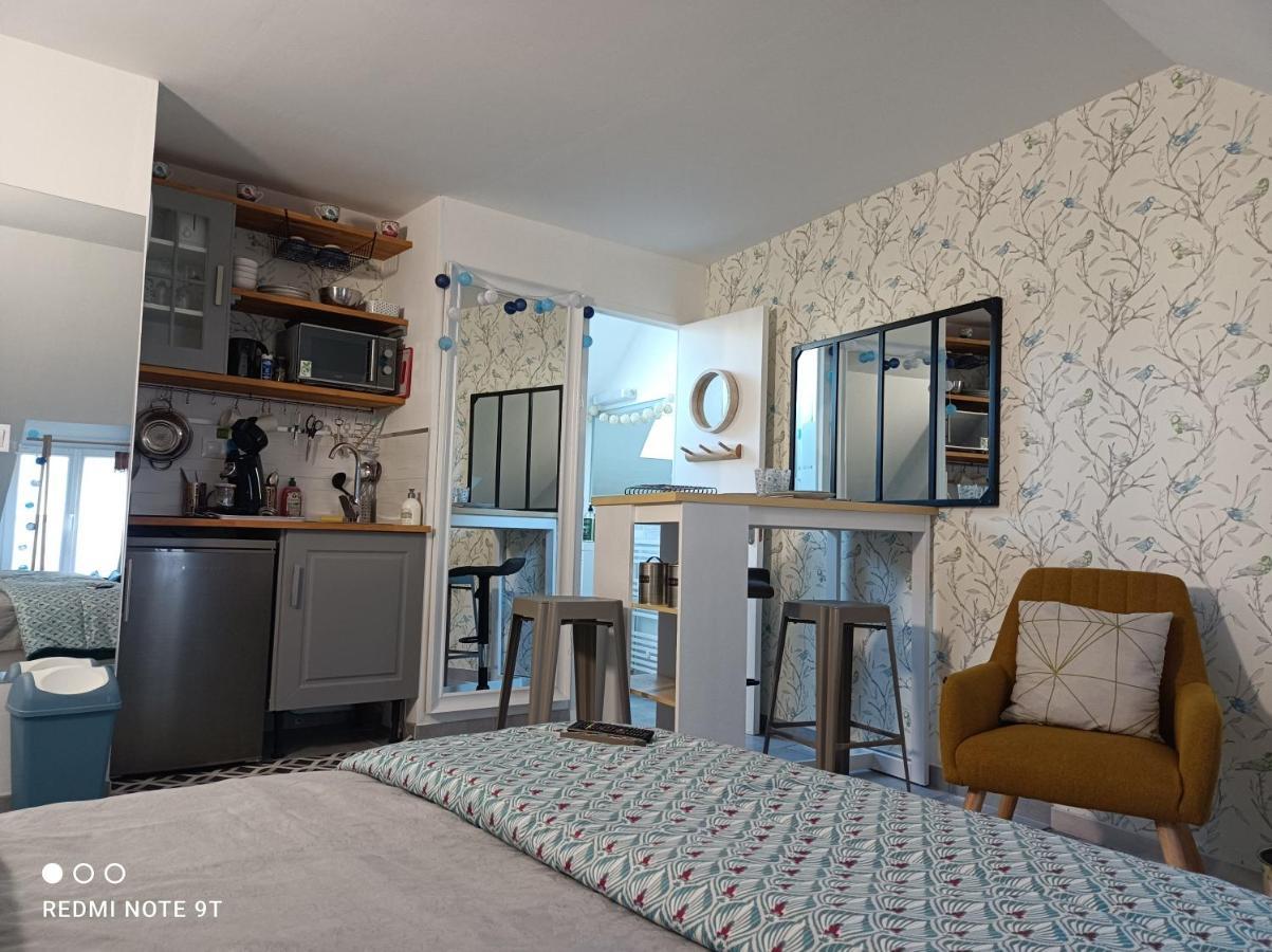 Tres Beau Studio Climatisation, Trois Etoiles, Parking A Velo, Velos En Option, Parking Prive Jardin Montargis Bagian luar foto